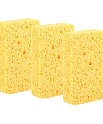 Cleaning Sponges